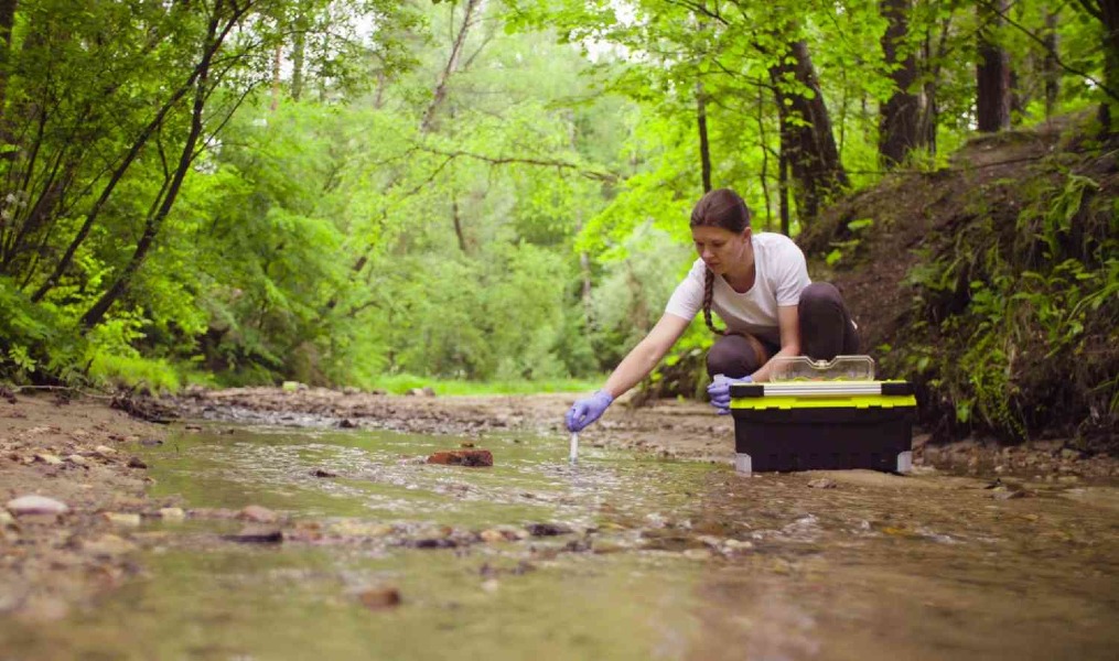 TaxaScreen® Invasive Fish Detection Panel